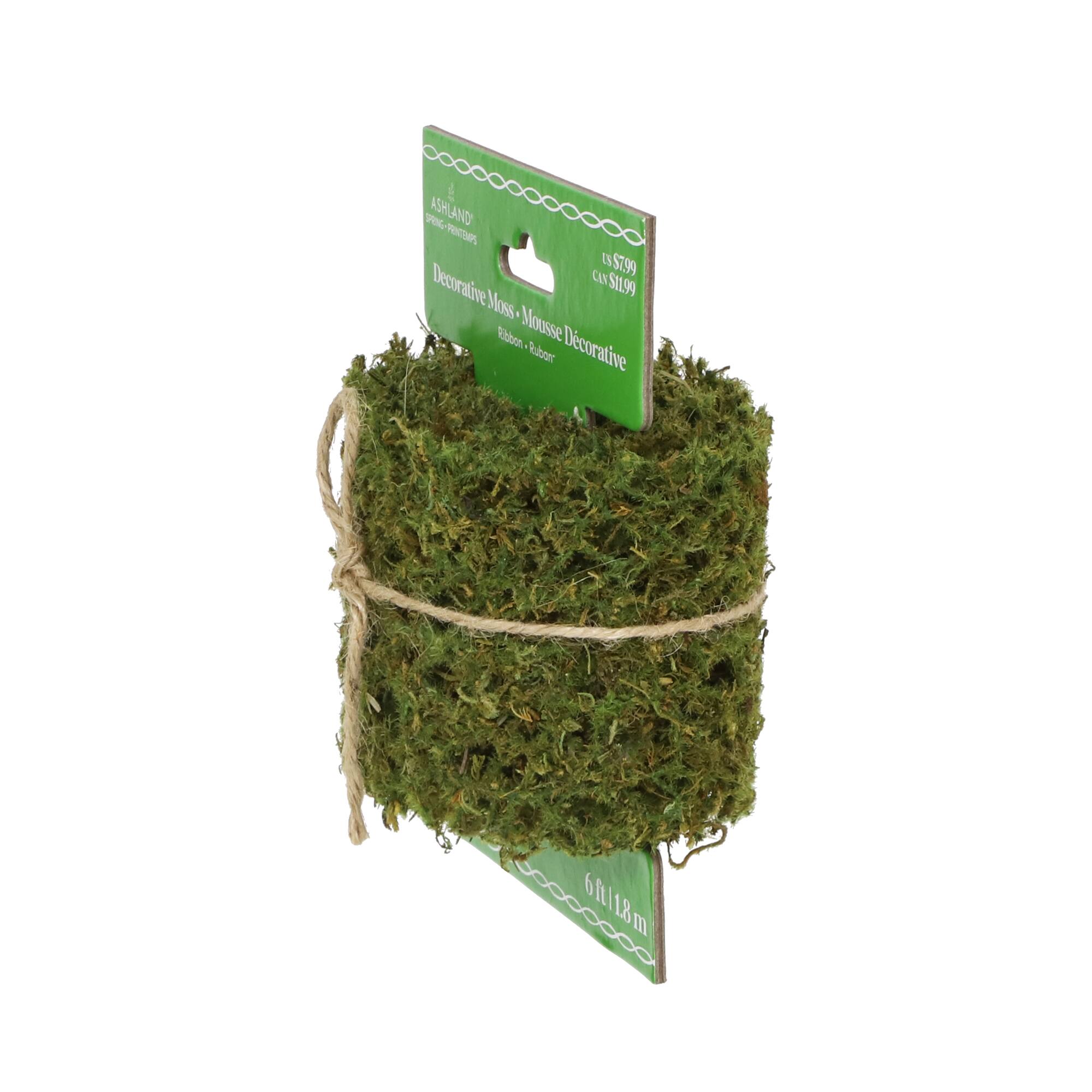 6ft. Green Decorative Moss Ribbon by Ashland®